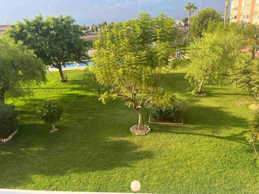 Casa Di Mateo With Garden View And Swimming Pool Torrevieja Exterior foto